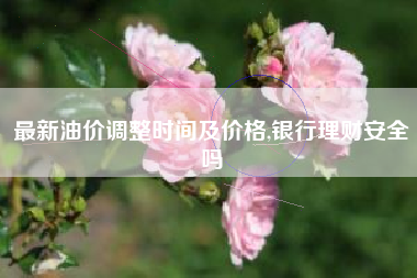最新油价调整时间及价格,银行理财安全吗