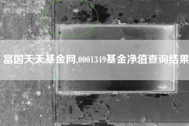富国天天基金网,0001349基金净值查询结果