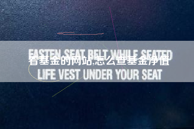 看基金的网站,怎么查基金净值