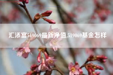 汇添富519069最新净值,519069基金怎样