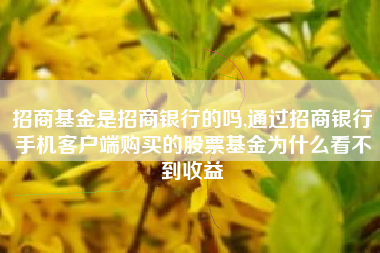 招商基金是招商银行的吗,通过招商银行手机客户端购买的股票基金为什么看不到收益