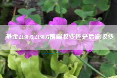 基金213003,213003前端收费还是后端收费