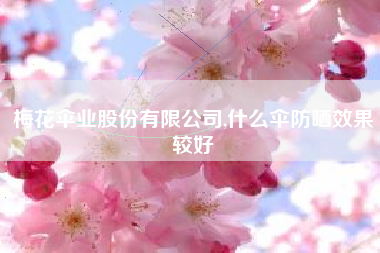 梅花伞业股份有限公司,什么伞防晒效果较好