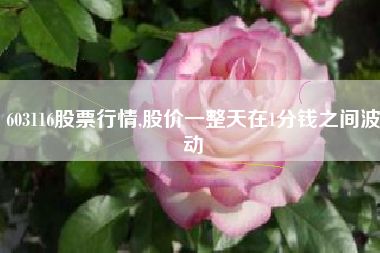 603116股票行情,股价一整天在1分钱之间波动