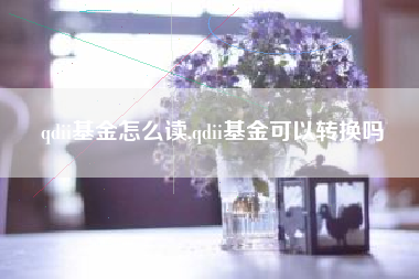 qdii基金怎么读,qdii基金可以转换吗