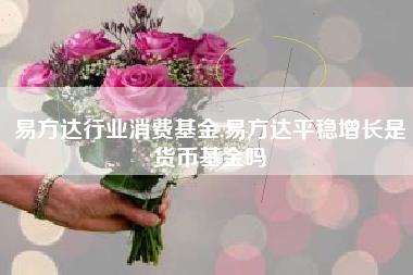 易方达行业消费基金,易方达平稳增长是货币基金吗