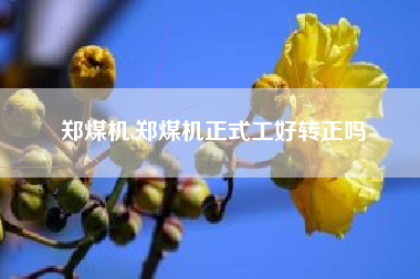 郑煤机,郑煤机正式工好转正吗
