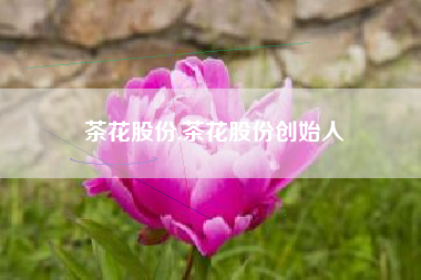 茶花股份,茶花股份创始人