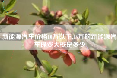 新能源汽车价格10万以下,15万的新能源汽车保费大概是多少