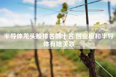 半导体龙头股排名前十名,创业板和半导体有啥关联