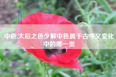 中色,太后之色少解中色属于古今义变化中的哪一类