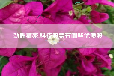 劲胜精密,科技股票有哪些优质股