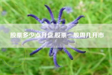股票多少点开盘,股票一般周几开市