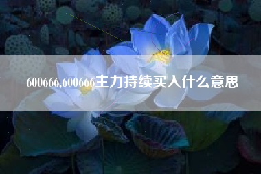 600666,600666主力持续买入什么意思