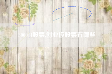300014股票,创业板股票有哪些