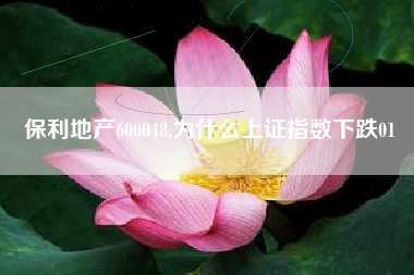 保利地产600048,为什么上证指数下跌01
