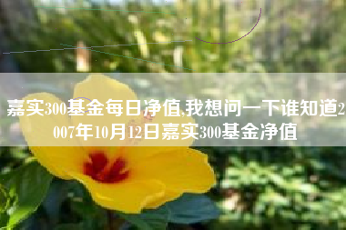 嘉实300基金每日净值,我想问一下谁知道2007年10月12日嘉实300基金净值