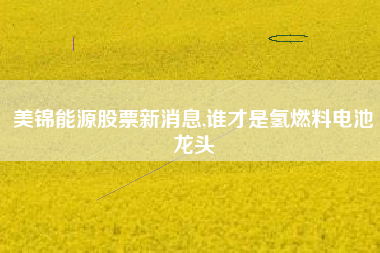 美锦能源股票新消息,谁才是氢燃料电池龙头