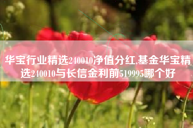 华宝行业精选240010净值分红,基金华宝精选240010与长信金利前519995哪个好
