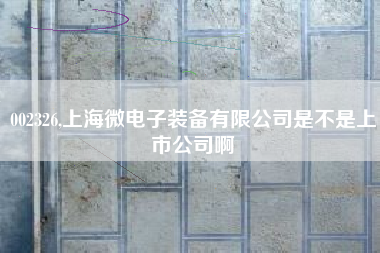 002326,上海微电子装备有限公司是不是上市公司啊
