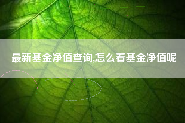 最新基金净值查询,怎么看基金净值呢