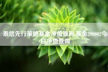 泰信先行策略基金净值查询,基金290002今日净值查询