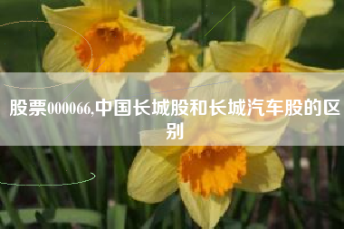 股票000066,中国长城股和长城汽车股的区别