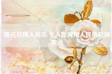 美元兑换人民币,个人如何用人民币兑换美元