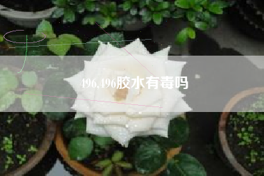 496,496胶水有毒吗