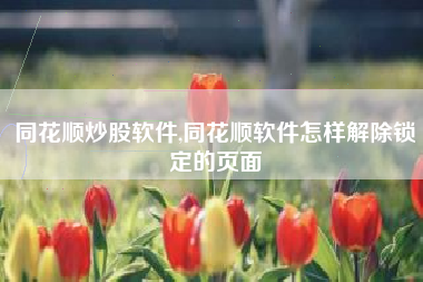 同花顺炒股软件,同花顺软件怎样解除锁定的页面