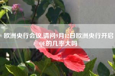 欧洲央行会议,请问9月12日欧洲央行开启QE的几率大吗