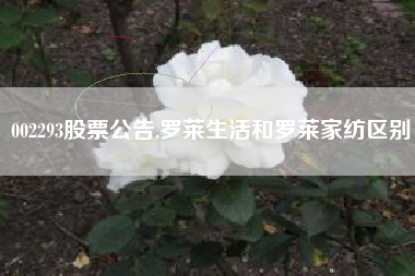 002293股票公告,罗莱生活和罗莱家纺区别