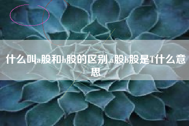 什么叫a股和b股的区别,a股b股是T什么意思