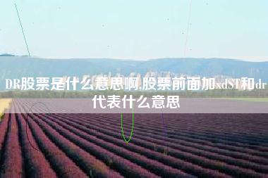 DR股票是什么意思啊,股票前面加xdST和dr代表什么意思