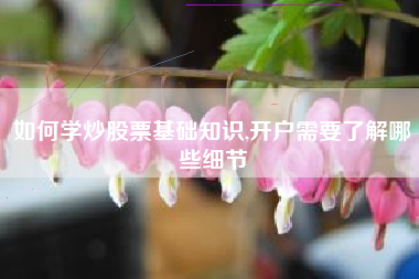 如何学炒股票基础知识,开户需要了解哪些细节