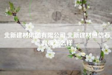 北新建材集团有限公司,北新建材恒信石膏板怎么样