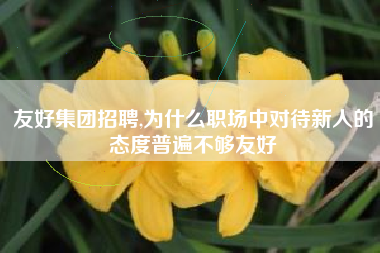友好集团招聘,为什么职场中对待新人的态度普遍不够友好