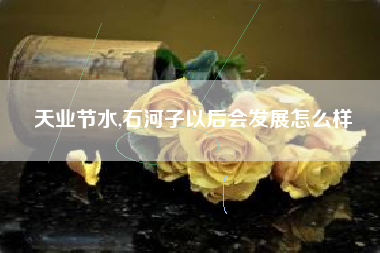 天业节水,石河子以后会发展怎么样