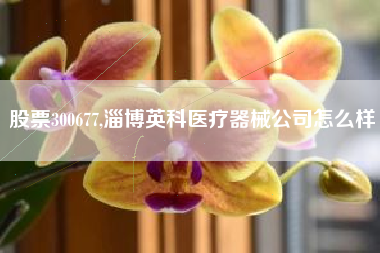 股票300677,淄博英科医疗器械公司怎么样