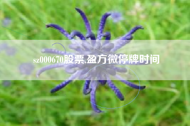 sz000670股票,盈方微停牌时间