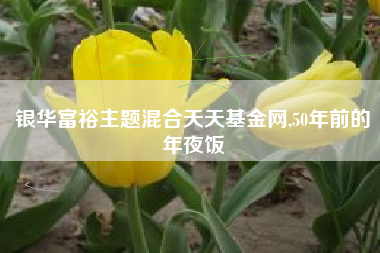 银华富裕主题混合天天基金网,50年前的年夜饭