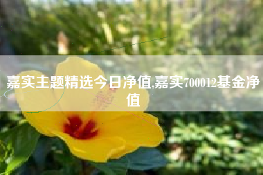 嘉实主题精选今日净值,嘉实700012基金净值