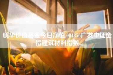 鹏华价值基金今日净值,004856广发中证全指建筑材料指数
