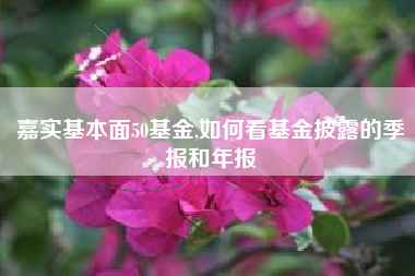 嘉实基本面50基金,如何看基金披露的季报和年报