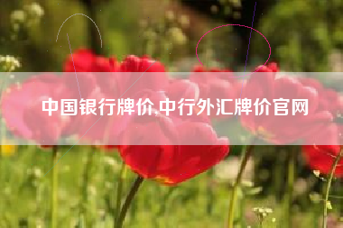中国银行牌价,中行外汇牌价官网