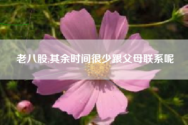 老八股,其余时间很少跟父母联系呢