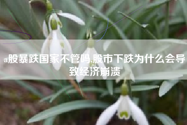 a股暴跌国家不管吗,股市下跌为什么会导致经济崩溃
