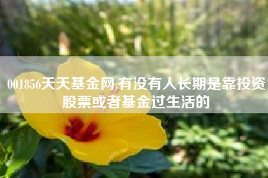 001856天天基金网,有没有人长期是靠投资股票或者基金过生活的
