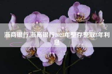 浙商银行,浙高银行2023年整存整取3年利息