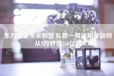 东方锆业未来前景,私募一哥徐翔是如何从3万炒到250亿的